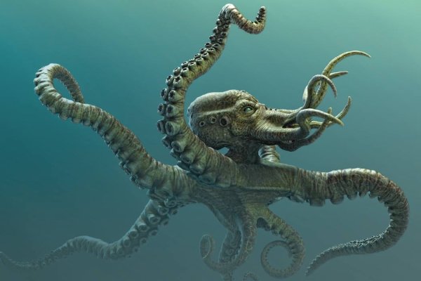 Kraken17 at