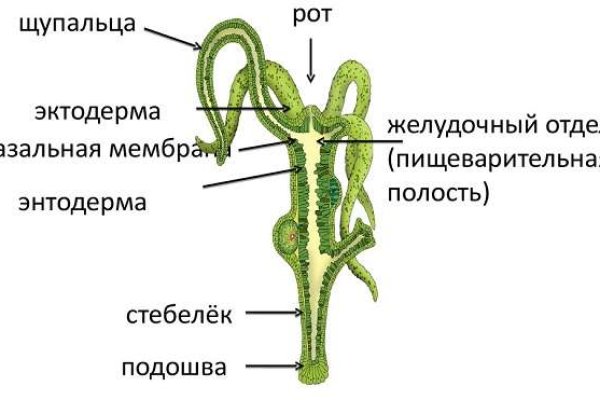 Кракен это известный маркетплейс